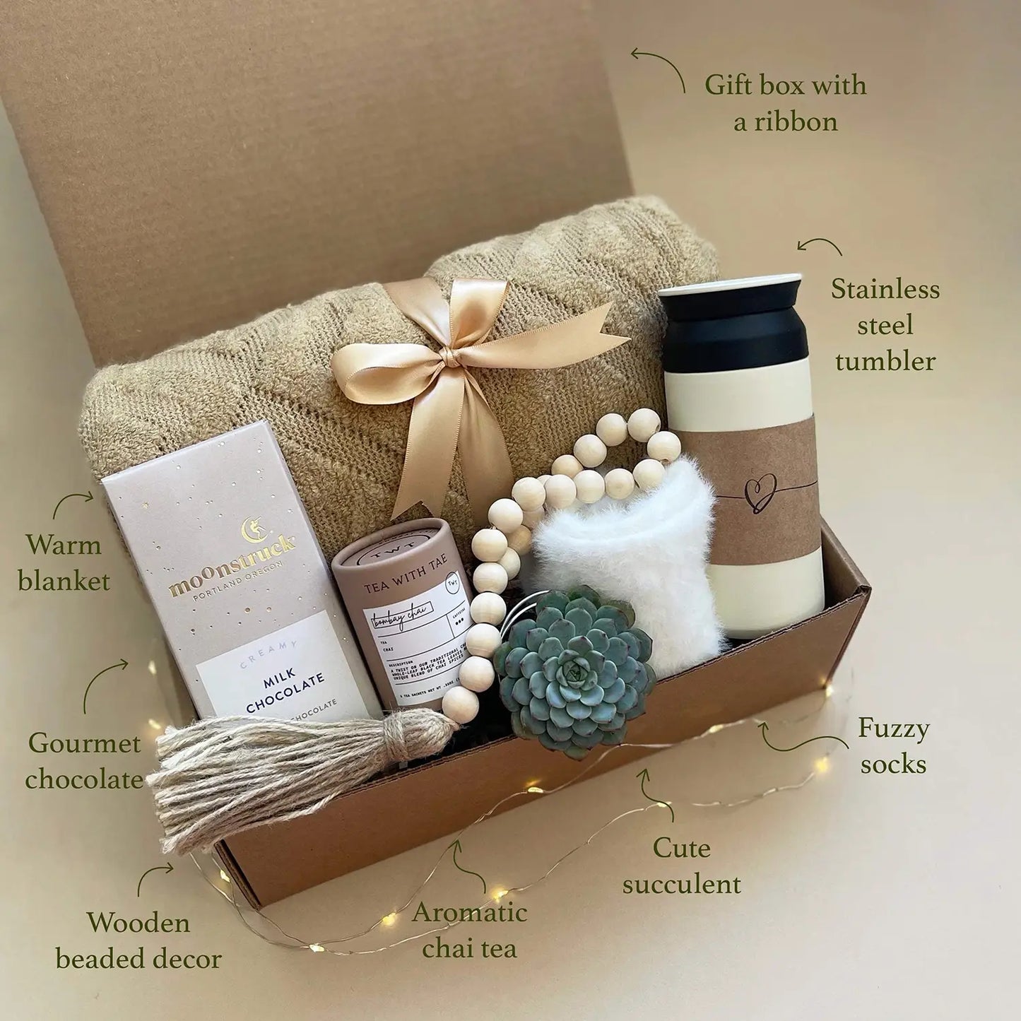 succulent get well gift Special Gift for Women | Get Well Gift