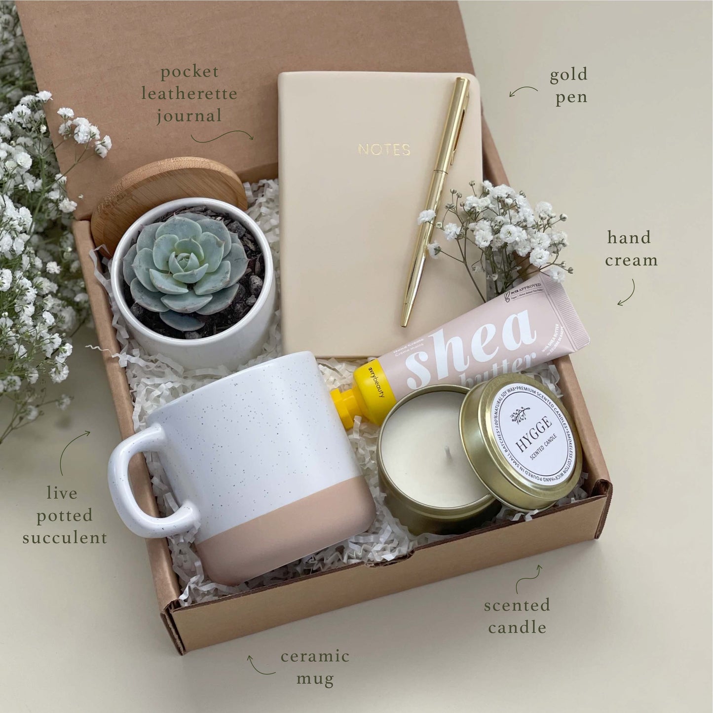 succulent gift box ideas Ivory Summer Serenity Gift Box