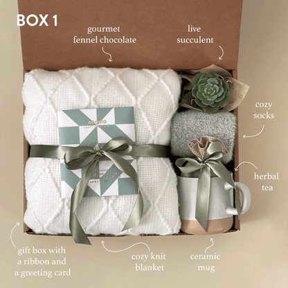 Easter Gift Basket for Women | Gift Box with Blanket & Succulent | Self Care Gift Box for Her