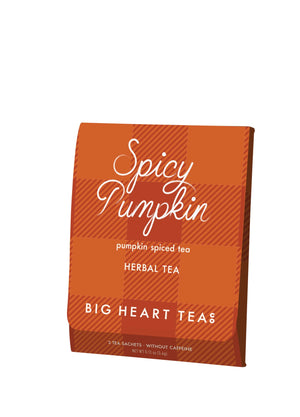 Spicy Pumpkin Tea - Big Heart Tea