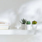 Succulent plant add-on