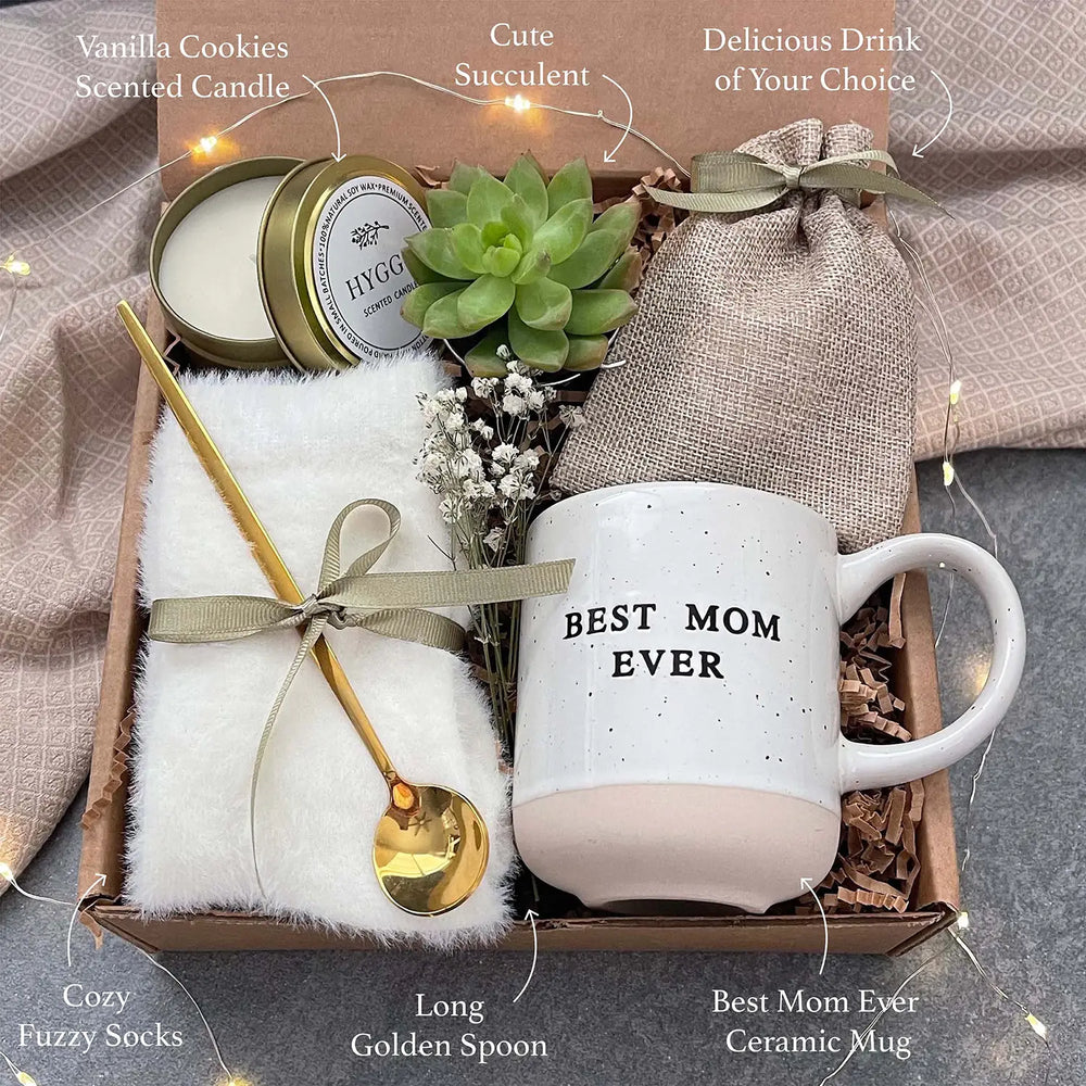 cute succulent gifts Gift Box For Mom with Succulent | Gift Set for First Time Mom